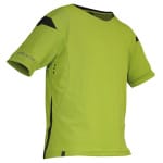 Ορειβατικά T-Shirt Salewa Nadir Dry green